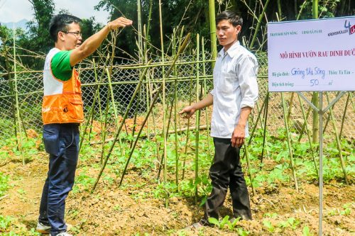 Gartenanbau Gesmüsegarten Vietnam H'Mong Kremsmüller 4 Life